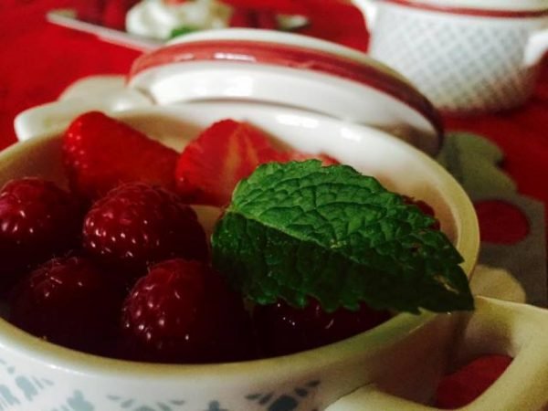 fontainebleau et fruits rouges