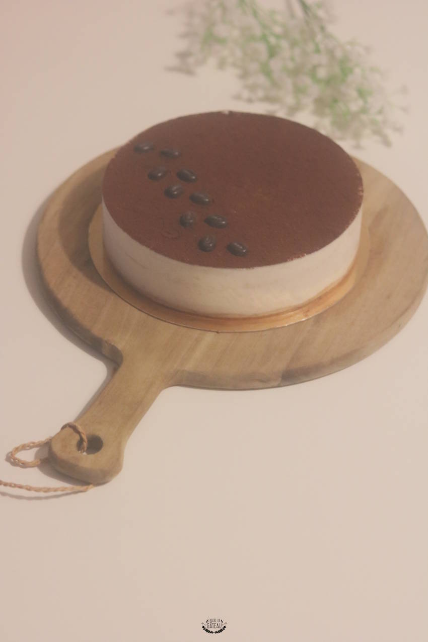 Dessert Au Tiramisu Avec Biscuit Et Crème Mascarpone En Verre Sur Fond De  Béton Brun. Recettes De Desserts Sans Photo stock - Image du cuisine,  dessert: 210823374