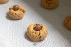 biscuits araignées maltesers