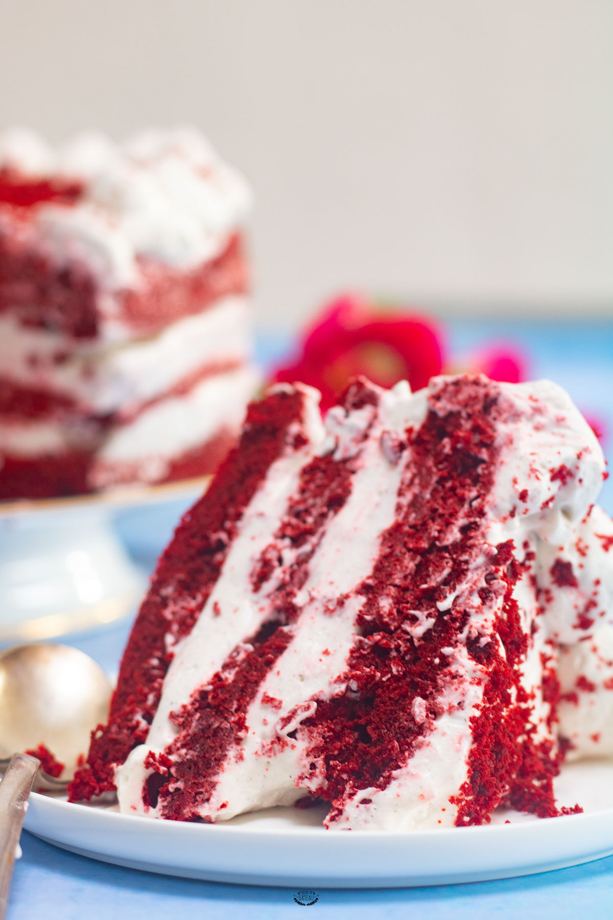 Red Velvet Cake - Recette du gâteau rouge velours irrésistible