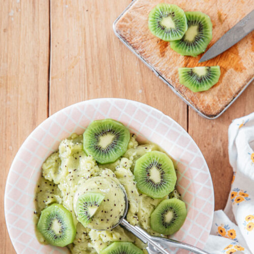 sorbet kiwi recette felder