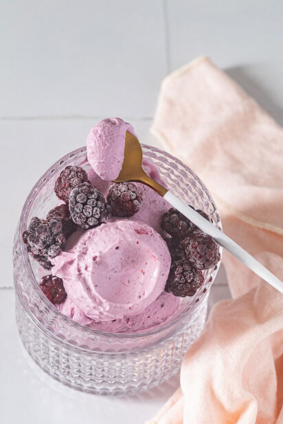 glace mures ninja creami