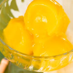 sorbet express mangue